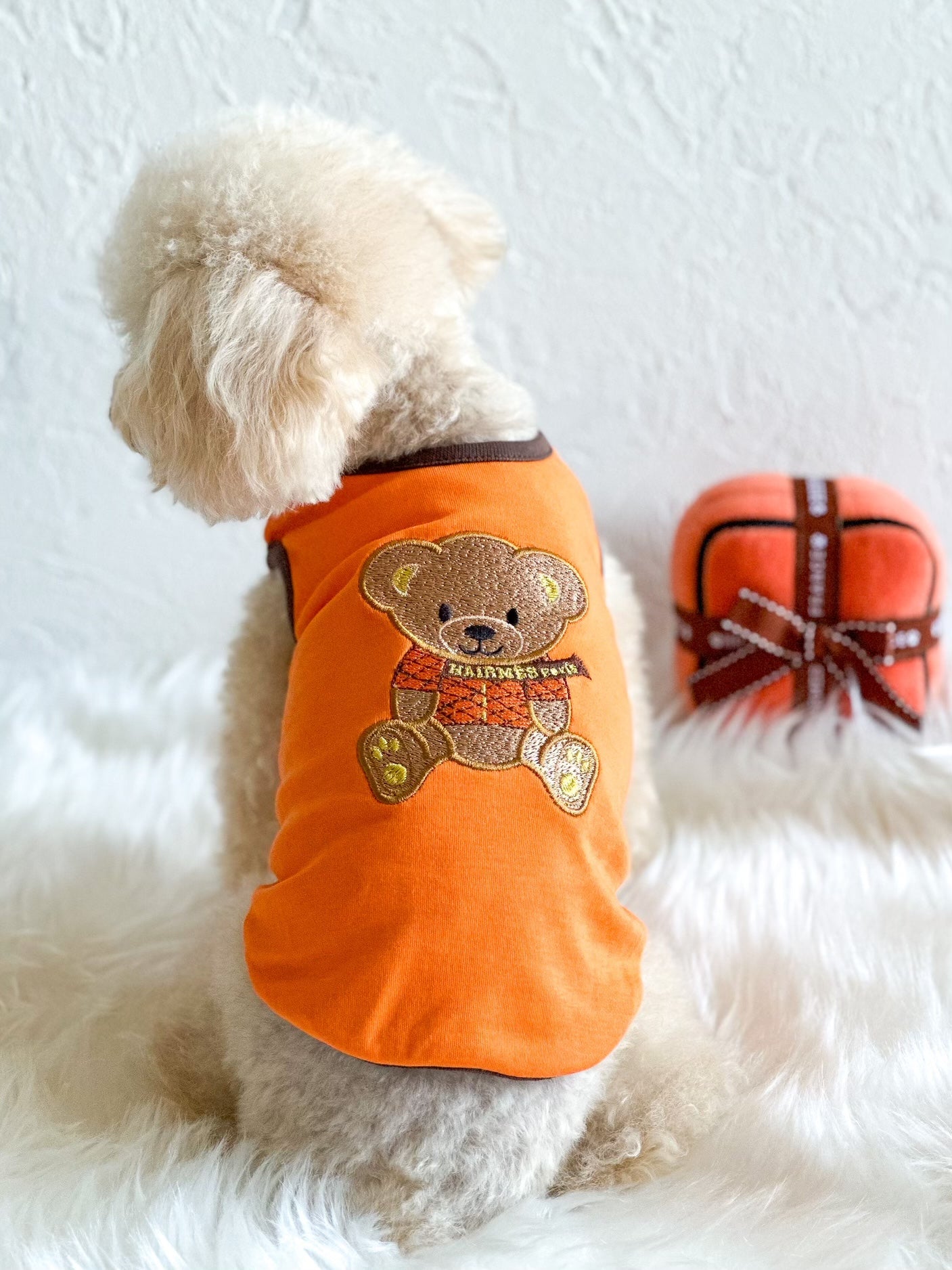 TB174 Hairmes Teddybear